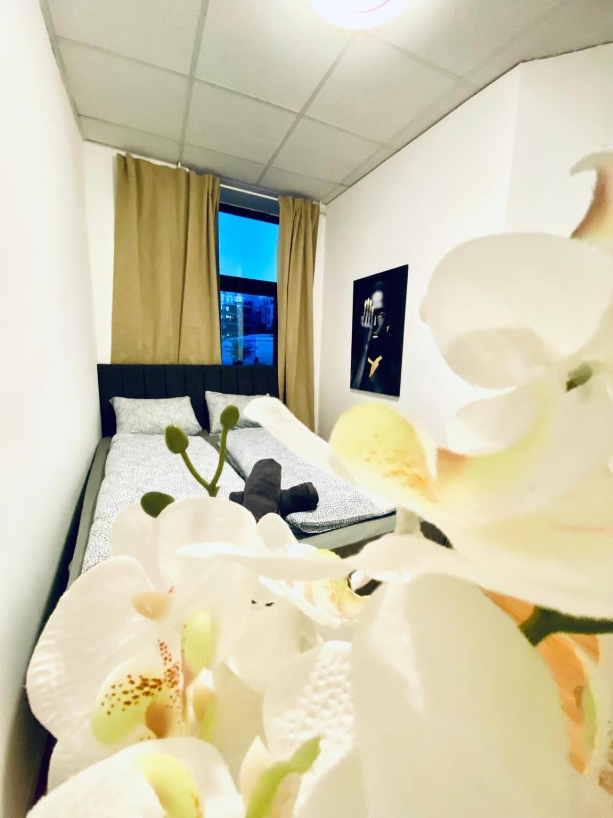 Apartment Affordable 3bedroom In Quiet Neighborhood Wien